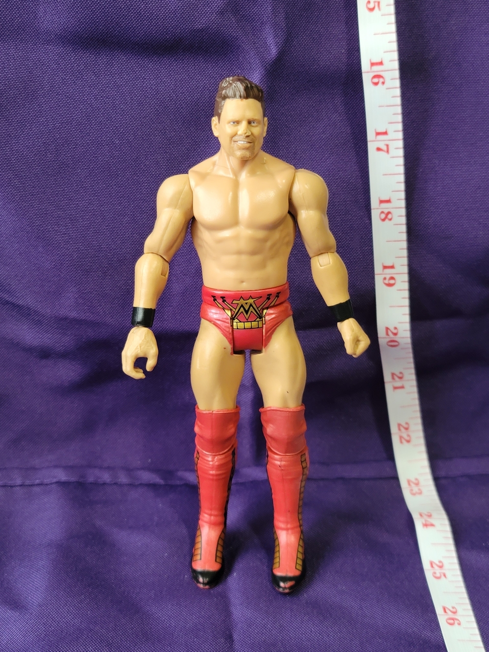 WWE Mattel The Miz Action Figure